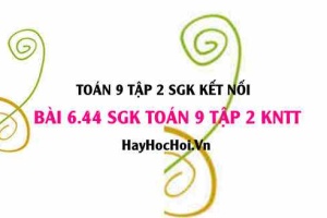 Bài 6.44 SGK Toán 9 tập 2 Kết nối tri thức